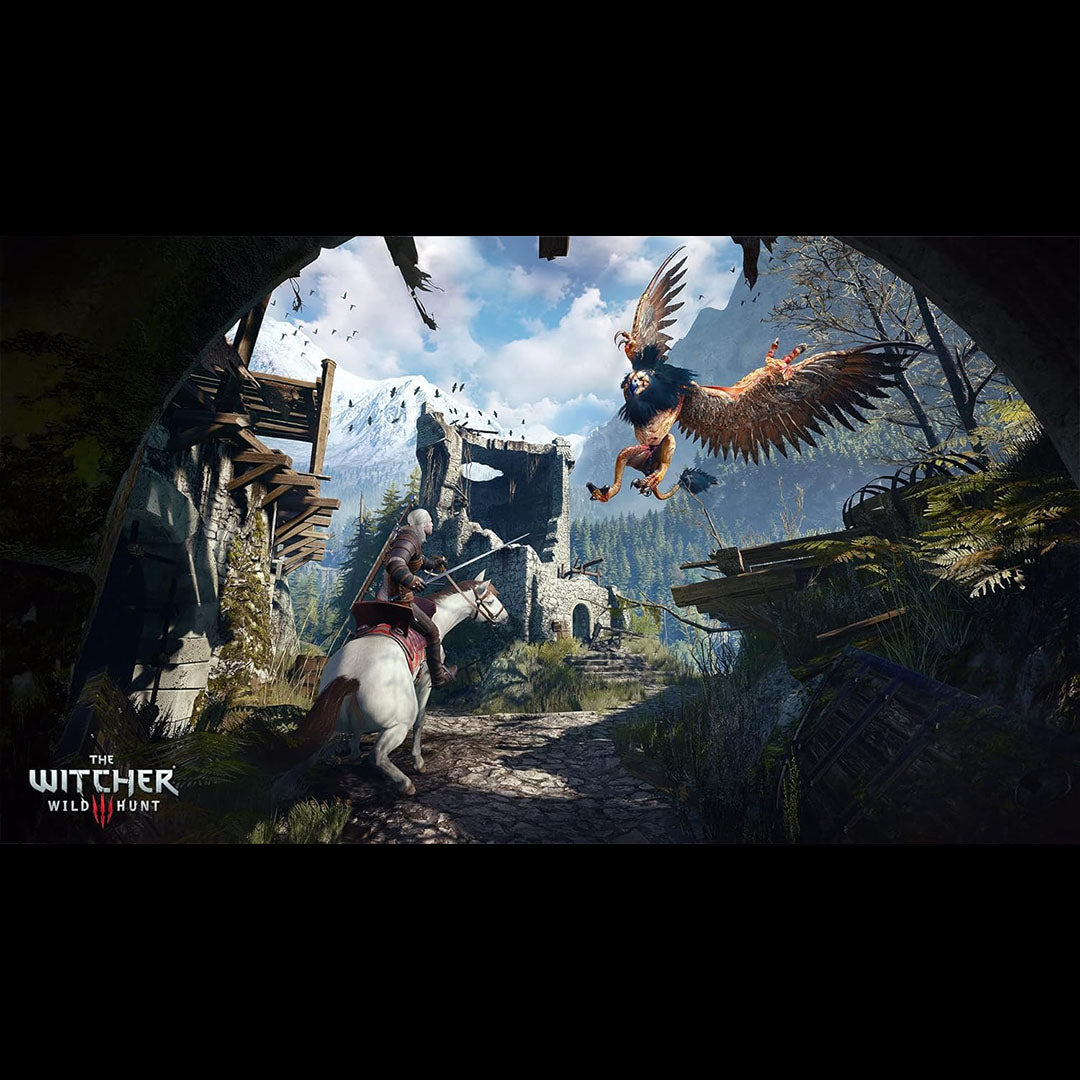 Witcher 3: Wild Hunt - Nintendo Switch